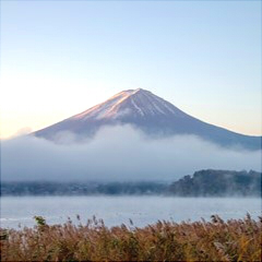青山先生