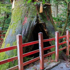 本美(もとみ)霊能者